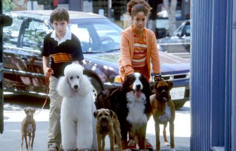 Список фильмов про говорящих собак и других животных: детские, комедии, приключения