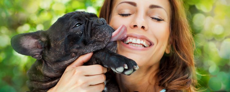 Облизывает ли ваша собака свои губы? Причины и лечение этой привычки